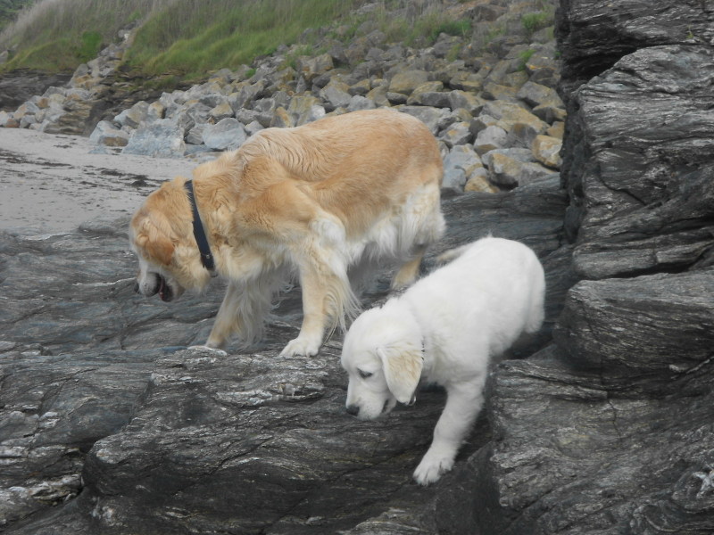 rencontre boomers