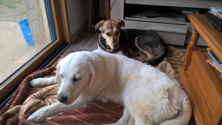 Lilie et Joy des p'tites louloutes trop mignonnes