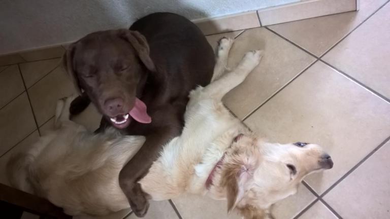 Menzo et sa nouvelle copine Roostie
