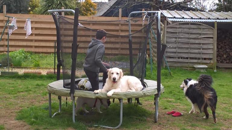 Qui veux jouer au trampoline ?